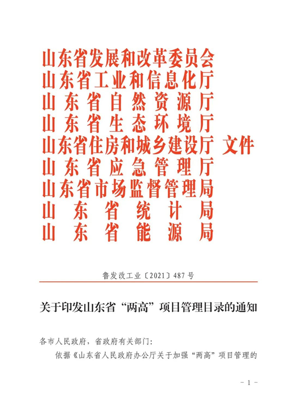 山東省人民政府辦公廳關(guān)于加強(qiáng)“兩高”項(xiàng)目管理的通知（附兩高項(xiàng)目管理目錄）